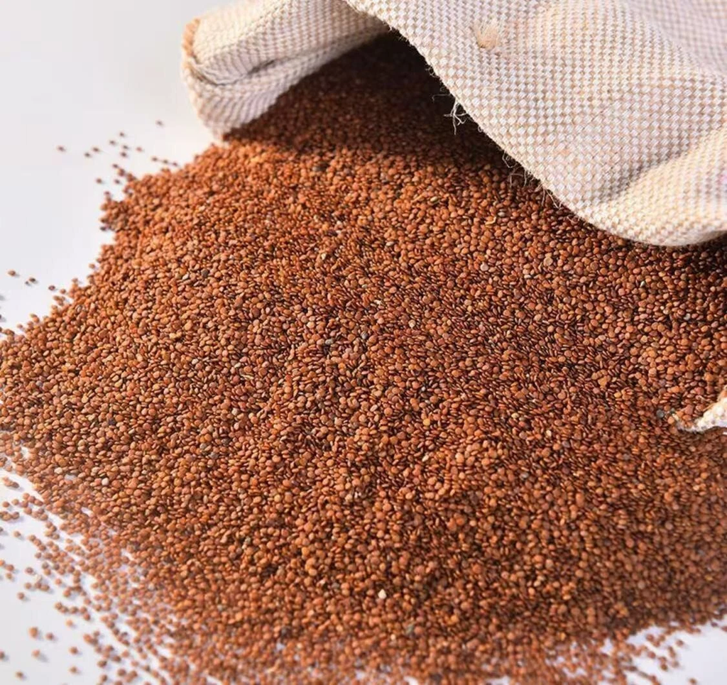 Ice Jelly Starter Kit - DIY Refreshing Drinks & Desserts