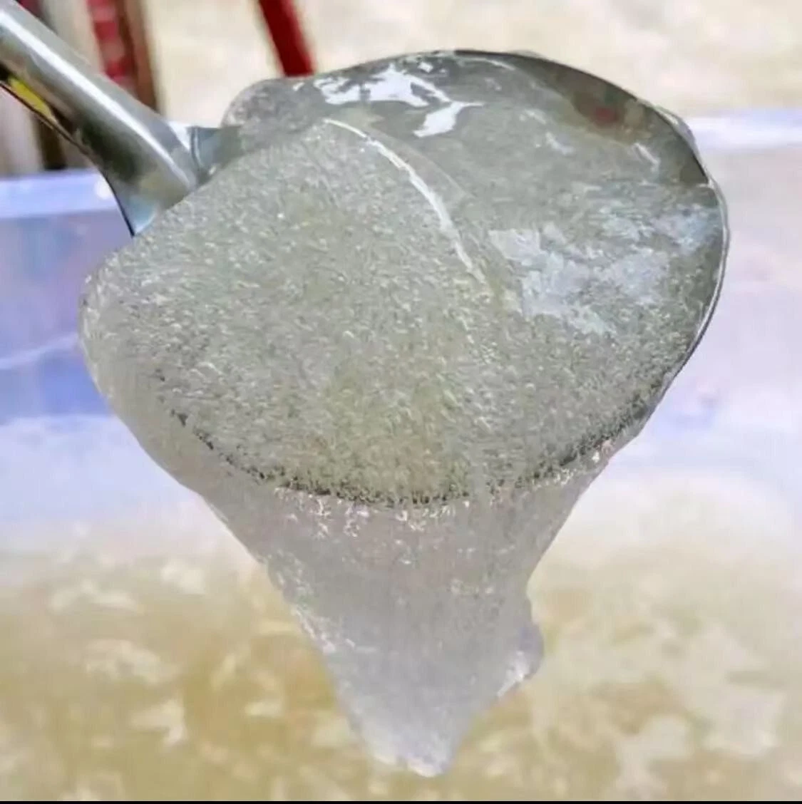 Ice Jelly Starter Kit - DIY Refreshing Drinks & Desserts