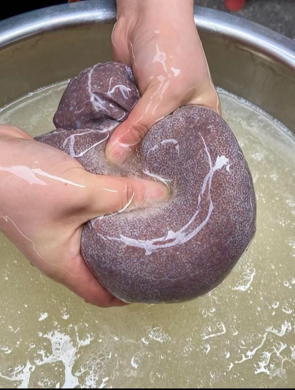 Ice Jelly Starter Kit - DIY Refreshing Drinks & Desserts